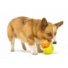 Zogoflex Toppl Treat Toy - Small - Lime -Dierenwinkel file 260