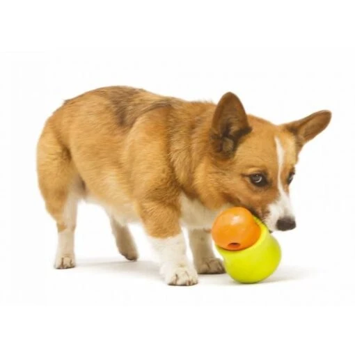 Zogoflex Toppl Treat Toy - Small - Lime -Dierenwinkel file 261