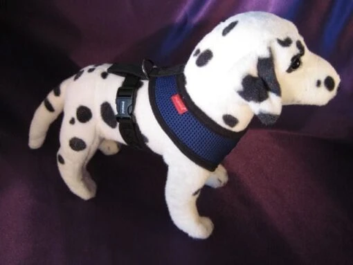 Puppia Soft Harness - S - Blauw -Dierenwinkel file 35