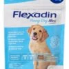 Flexadin Young Dog Maxi 60 Chews -Dierenwinkel flexadyn 20young 20dog 20maxi 20b 20Medium