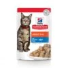 Hill's Science Plan Adult Maaltijdzakjes Met Zeevis - 12 X 85 Gram -Dierenwinkel hill s science plan adult maaltijdzakjes met zeevis 12 x 85 gram