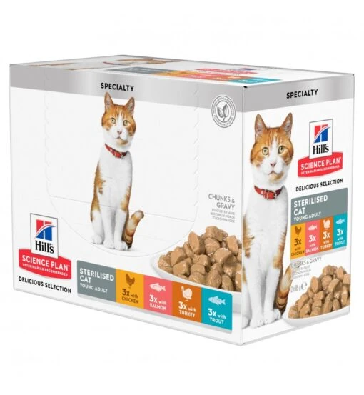 Hill's SP Adult Sterilised Cat Multipack Kip / Zalm / Kalkoen / Forel - 4 X 12 X 85 Gram -Dierenwinkel hill s sp adult sterilised cat multipack kip zalm kalkoen forel 4 x 12 x 85 gram