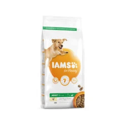 Iams Adult Large Breed Hondenvoer 12 Kg -Dierenwinkel iams adult large breed dog 12 kg 79523 0300 none