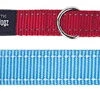 Rogz For Dogs Fanbelt Multipurpose Lijn Turquoise -Dierenwinkel image 28