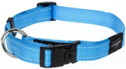 Rogz For Dogs Lumberjack Hondenhalsband Verstelbaar Turquoise 73 X 2,5 Cm -Dierenwinkel image 3