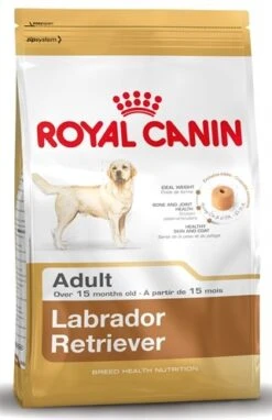 Royal Canin Adult Labrador Retriever Hondenvoer 3 Kg -Dierenwinkel image 44