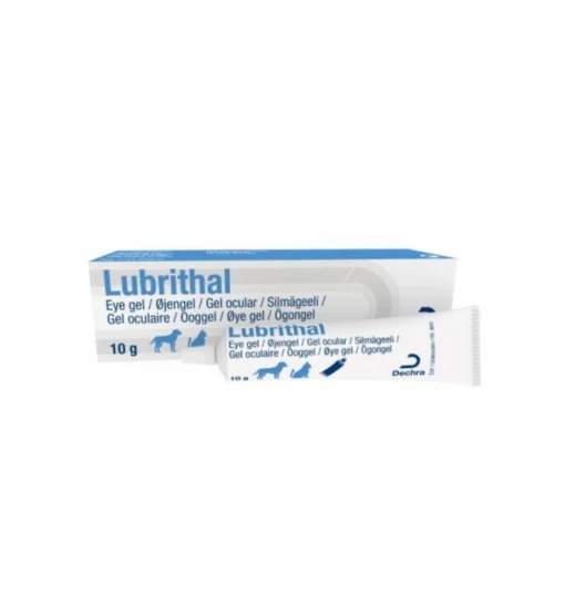 Lubrithal Ooggel - 10 Gram -Dierenwinkel lubrithal ooggel 10 gram