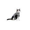 Medical Pet Shirt (Kat / Zebraprint) -Dierenwinkel medical pet shirt kat zebraprint