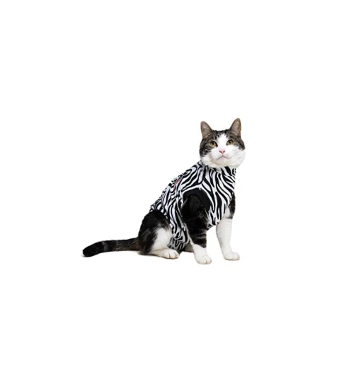 Medical Pet Shirt (Kat / Zebraprint) -Dierenwinkel medical pet shirt kat zebraprint