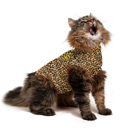 Medical Pet Shirt (Kat / Luipaardprint) -Dierenwinkel medical pet shirt luipaard print