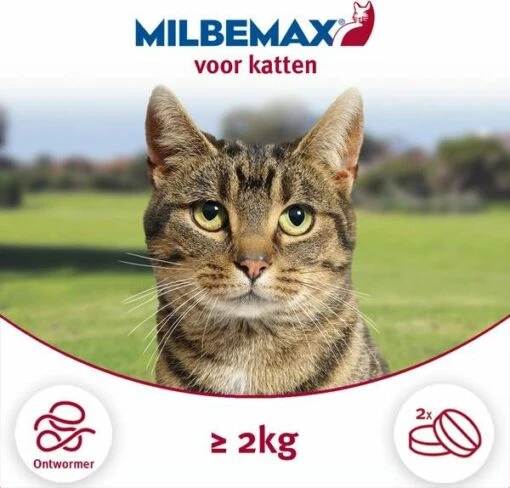 Milbemax Ontworming Tabletten Grote Kat 2 12 Kg 2 X 2 Tabletten -Dierenwinkel milbemax kat anti wormenmiddel 2 tab 2 8kg 32176