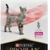 Purina Pro Plan Veterinary Diets Feline DM Diabetes Management Kattenvoer 1, 5 Kg -Dierenwinkel purina pro plan vd dm diabetes management kat 1 5 kg 28656