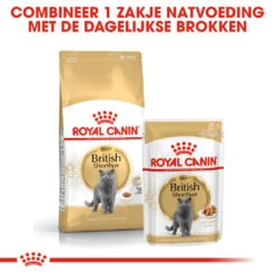 Royal Canin British Shorthair 34 - Kattenvoer - 4kg -Dierenwinkel rc fbn britishsh cv eretailkit 4 nl nl 1