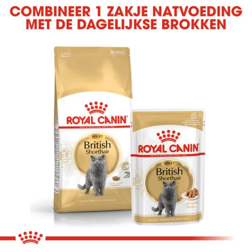 Royal Canin British Shorthair 34 - Kattenvoer - 4kg -Dierenwinkel rc fbn britishsh cv eretailkit 4 nl nl 1