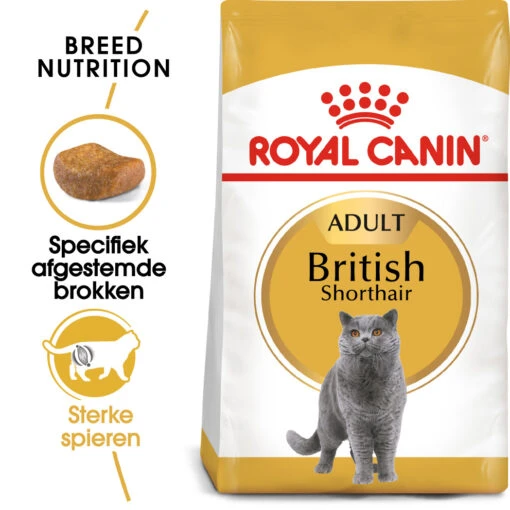 Royal Canin British Shorthair 34 - Kattenvoer - 4kg -Dierenwinkel rc fbn britishsh mv eretailkit nl nl 1