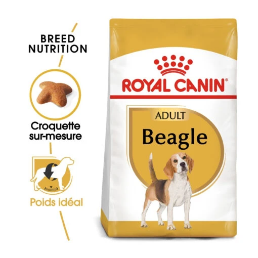 Royal Canin Beagle Adult - Hondenvoer - 12kg -Dierenwinkel royal canin beagle adult beagle adulte 1