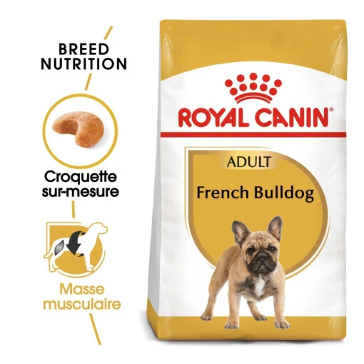 Royal Canin French Bulldog Adult - Hondenvoer - 9kg -Dierenwinkel royal canin bouledogue francais adult bouledogue francais 1