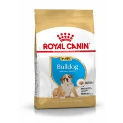 Royal Canin Junior Bulldog Hondenvoer 3 Kg -Dierenwinkel royal canin bulldog 30 junior 1 1