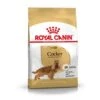 Royal Canin Adult Cocker Spaniel Hondenvoer 12 Kg -Dierenwinkel royal canin cocker 25 adult