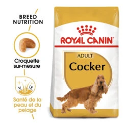 Royal Canin Cocker Adult - Hondenvoer - 12kg -Dierenwinkel royal canin cocker adult cocker 1 1