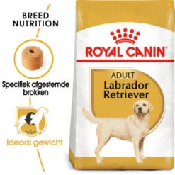 Royal Canin Adult Labrador Retriever Hondenvoer 3 Kg -Dierenwinkel royal canin labrador retriever 30 adult 1