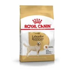 Royal Canin Adult Labrador Retriever Hondenvoer 3 Kg -Dierenwinkel royal canin labrador retriever 30 adult