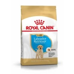 Royal Canin Junior Labrador Retriever Hondenvoer 3 Kg -Dierenwinkel royal canin labrador retriever 33 junior 1