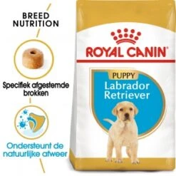 Royal Canin Junior Labrador Retriever Hondenvoer 3 Kg -Dierenwinkel royal canin labrador retriever 33 junior