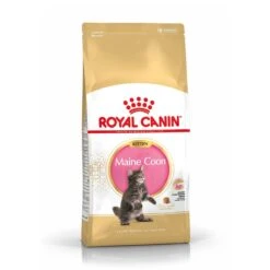 Royal Canin Maine Coon Kitten Kat 10kg -Dierenwinkel royal canin maine coon kitten maine coon kitten