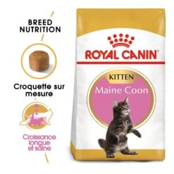 Royal Canin Maine Coon Kitten Kat 10kg -Dierenwinkel royal canin maine coon kitten maine coon kitten 1