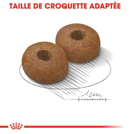 Royal Canin Maxi Ageing 8+ - Hondenvoer - 15kg -Dierenwinkel royal canin maxi ageing croquettes pour chien maxi ageing 2