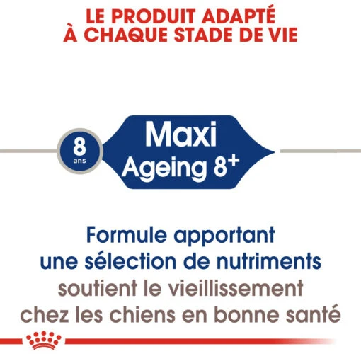 Royal Canin Maxi Ageing 8+ - Hondenvoer - 15kg -Dierenwinkel royal canin maxi ageing croquettes pour chien maxi ageing 3