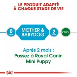 Royal Canin Mini Starter Mother & Babydog 8kg -Dierenwinkel royal canin mini starter mini starter 4