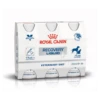 Royal Canin Recovery Liquid - 3 X 200 Ml -Dierenwinkel royal canin recovery liquid 3 x 200 ml