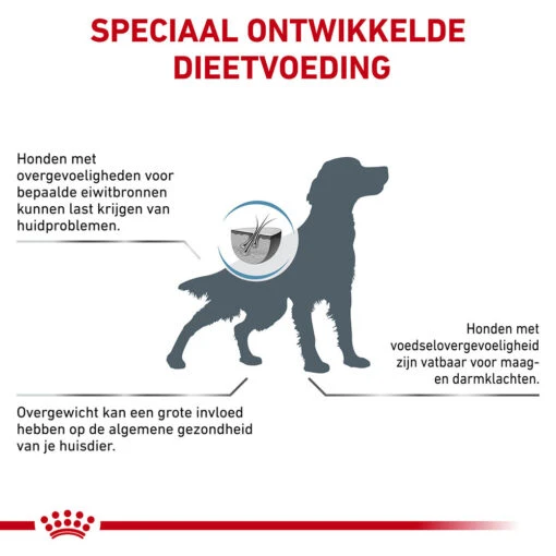 Royal Canin Hypoallergenic Moderate Calorie - Hondenvoer - 14kg -Dierenwinkel royal canin hypoallergenic moderate calorie hond 153403 1000 none