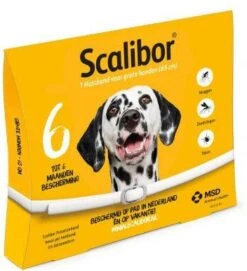 Scalibor Grote Honden(65 Cm) &#xAE, Protectorband -Dierenwinkel scalibor grote honden65 cm en xae protectorband 121127