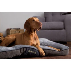 Scruffs Chester Mattress - M - Grafiet -Dierenwinkel scruffs chester hondenkussen