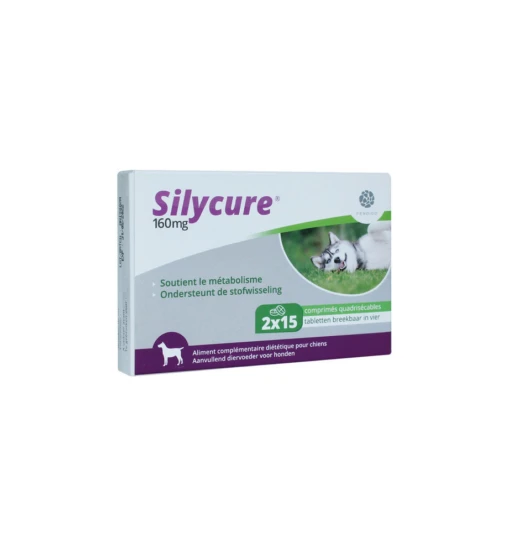 Silycure 160 Mg - 30 Tabletten -Dierenwinkel silycure 160 mg 30 tabletten