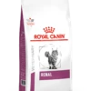 Royal Canin Renal - Kattenvoer - 4kg -Dierenwinkel vhn vital support renal cat dry packshot med. res. basic 394218 1